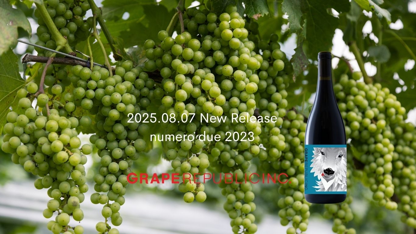 2025.08.07 New Release.jpg