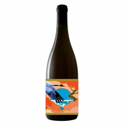 新着商品 | GRAPEREPUBLIC